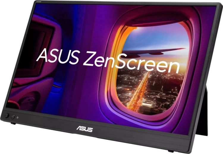 Slim portable monitor for work and travel