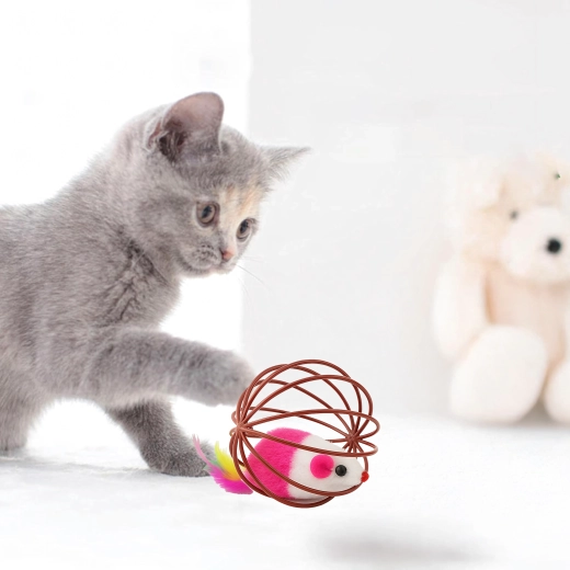 Sauga ir patvari konstrukcija