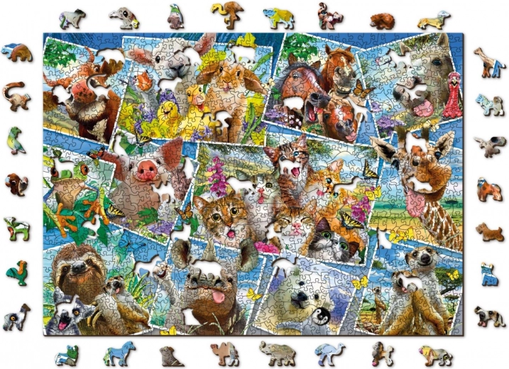 Spalvinga gyvūnų koliažinė mozaika – puošni dekoracija po sudėjimo