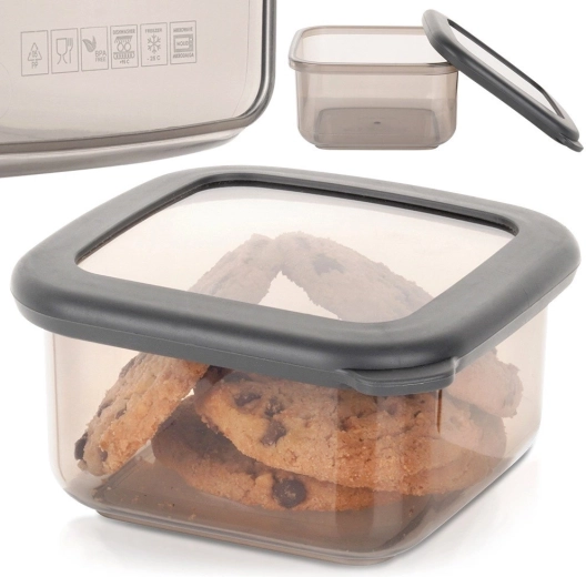 Permatomas korpusas greitai apžvalgai