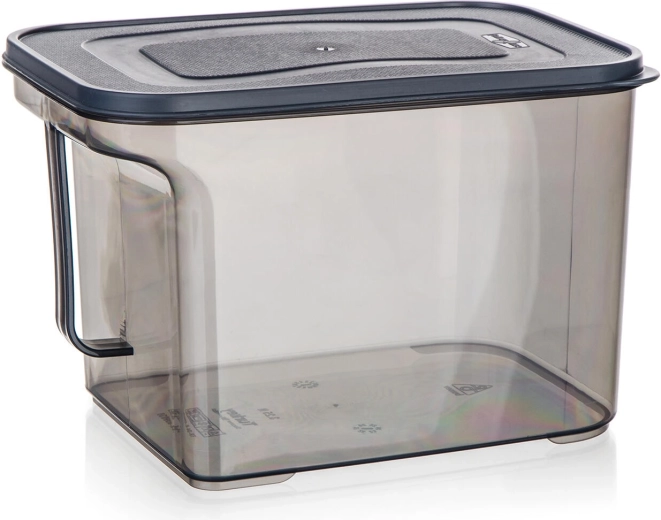 Plastikinė dėžutė su rankena 3,25 l Zoya