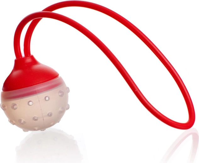 CULINARIA Silicone Tea and Spice Infuser, 5 × 22 cm, Red