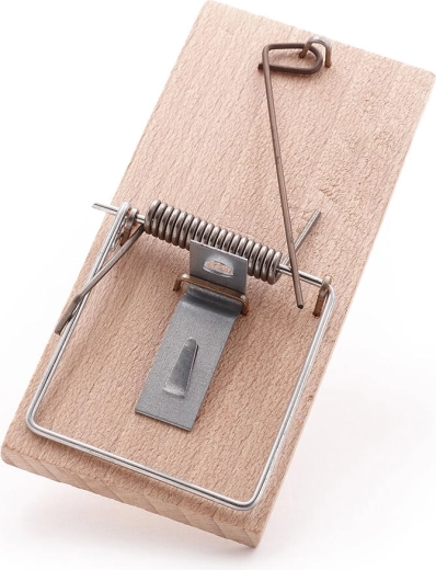 Beech Wood Mouse Trap