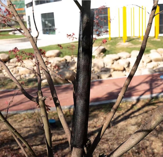 Veiksminga mechaninė žievės apsauga