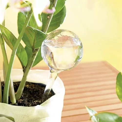 Easy use and gradual water release