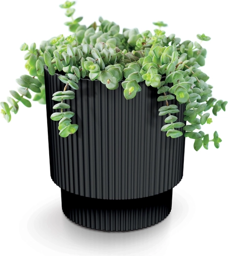 Better drainage and healthy roots