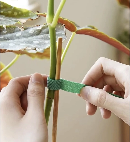 Gentle support for plants and also useful in the household