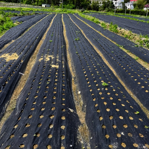 For row cultivation in the garden and in the field