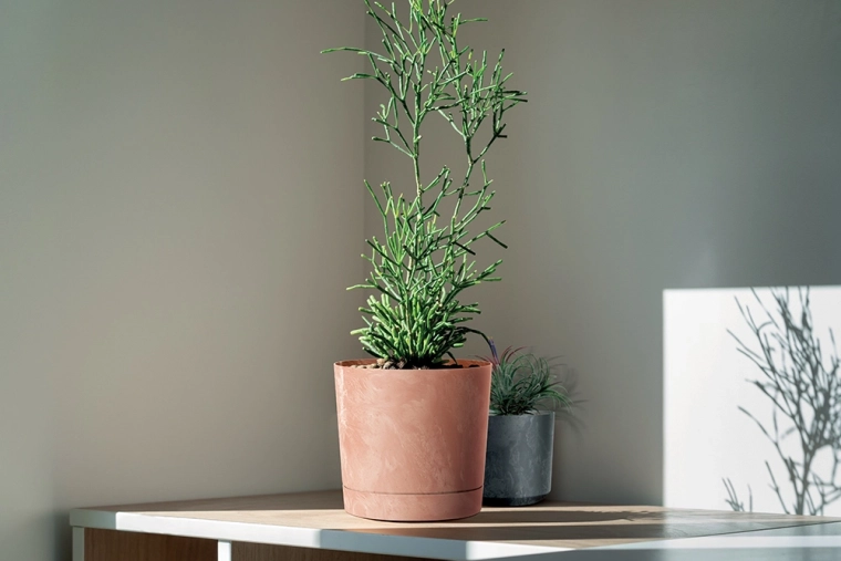 Suitable for indoors and outdoors