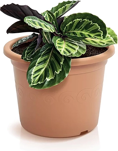Practical drainage for healthy roots