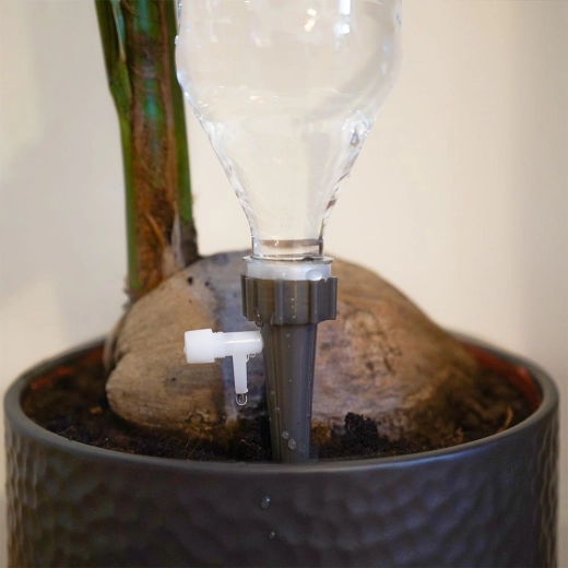 Stabilus įtvirtinimas vazonėlyje