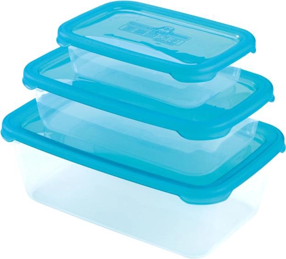 Plastikiniai indeliai su dangteliais HEIDRUN Polar Frost, 3 vnt. rinkinys