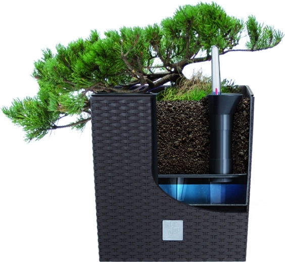 Removable insert for easy planting