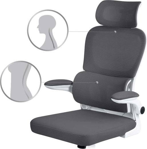 Ergonomic back and head support