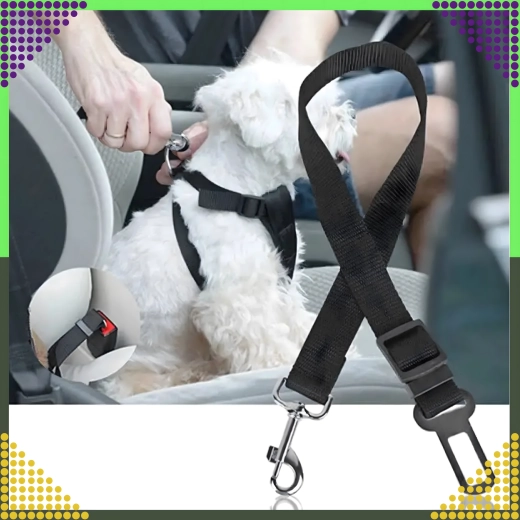 Saugus tvirtinimas prie petnešų