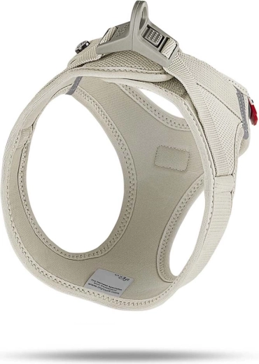 Safe and comfortable buckle