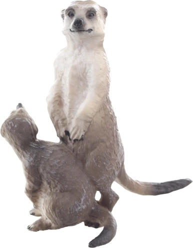 Stabili ir dekoratyvi konstrukcija