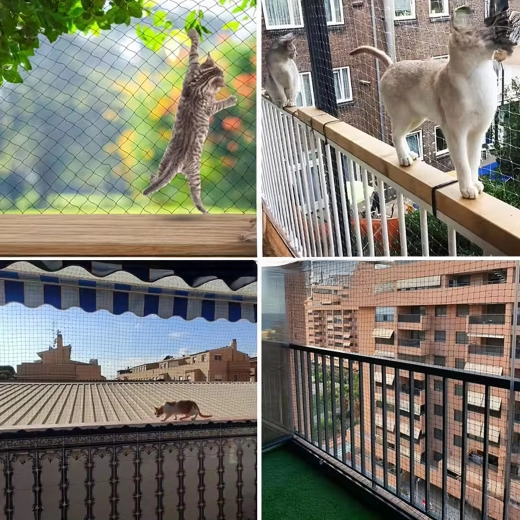 Balkono apsauga ir saugumas katėms