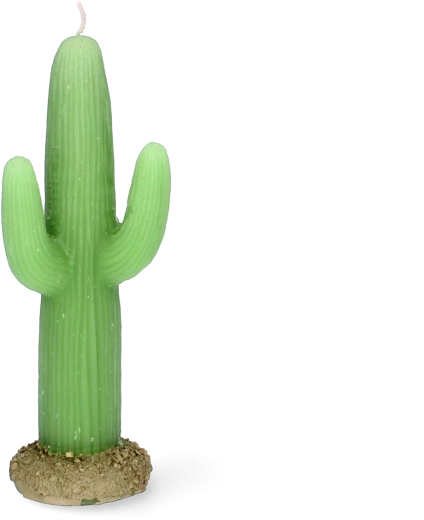 Cactus-shaped candle 17.5 cm – decorative paraffin candle