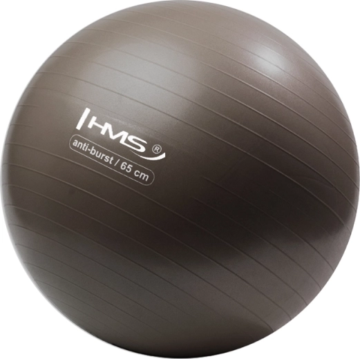 Gimnastikos kamuolys HMS 65 cm, bronzinis