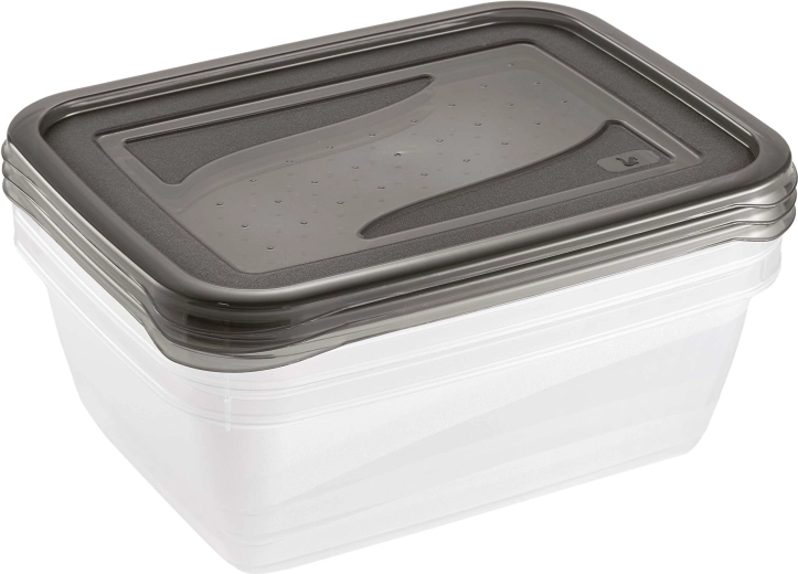 Keeeper Fresh & Freeze maisto dėžučių rinkinys 1,25 l, 3 vnt.
