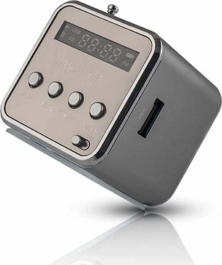 Setty portable speaker with FM radio MF-100, silver