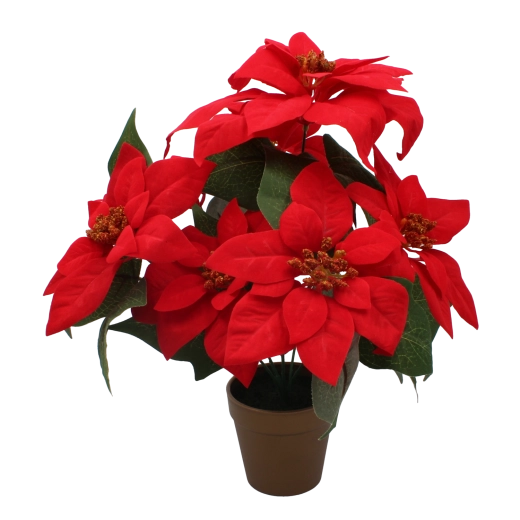 Dirbtinė kalėdinė puansetija auksiniame vazone 38 cm