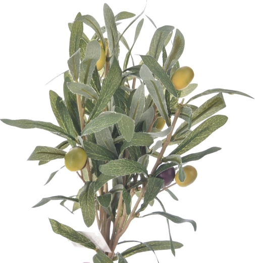 Green olive tree branches (3 pcs)
