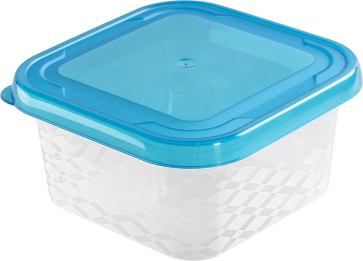 Square Food Storage Container Blue Box 0.45 L