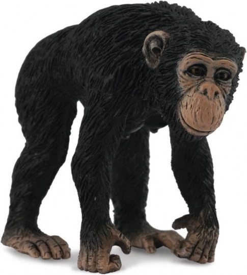 Collecta šimpanzės patelės figūrėlė