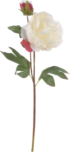Artificial peony flower, white, 50 cm