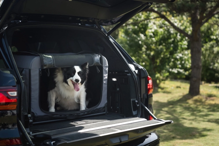 Ideal for car travel and trips