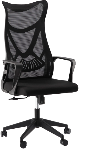 Ergonomiška biuro kėdė MASKINO su orui pralaidžiu tinkleliu
