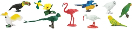 Safari Ltd - Tube - Exotic Birds