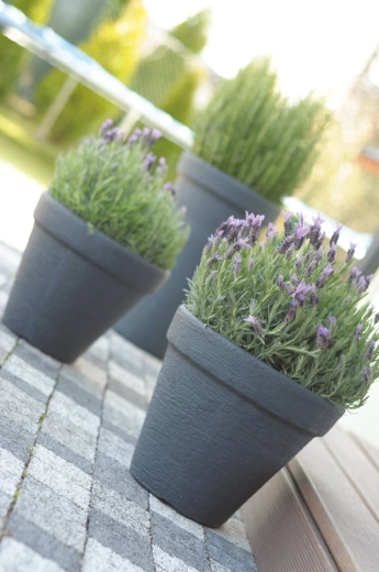 Elegant textured surface for modern and classic spaces