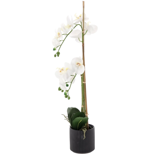Stylish black flowerpot