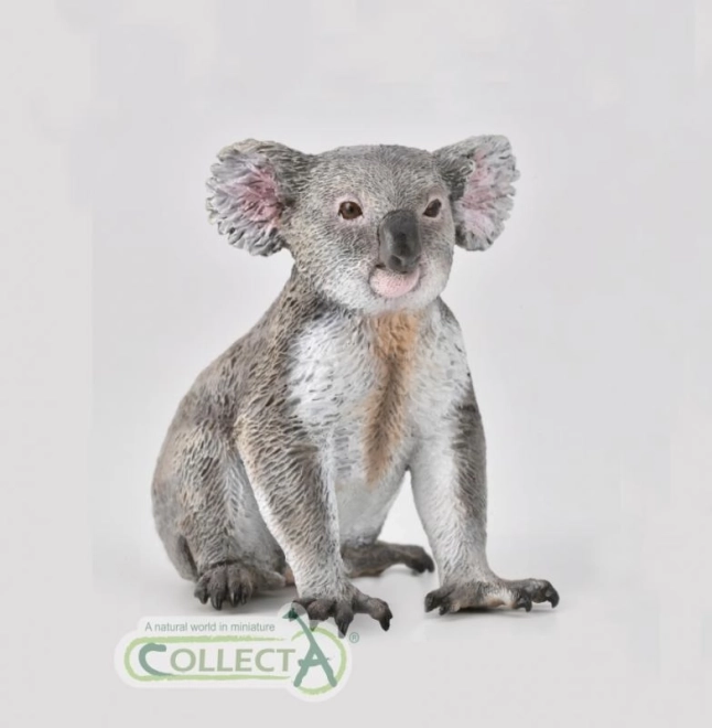 Koalos kolekcija