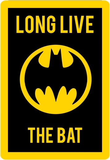 Batman kilimėlis 80 × 120 cm – licencijuotas poliesterio kilimėlis