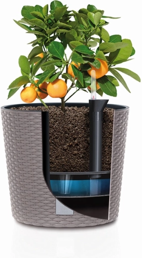 Convenient planting with a removable insert