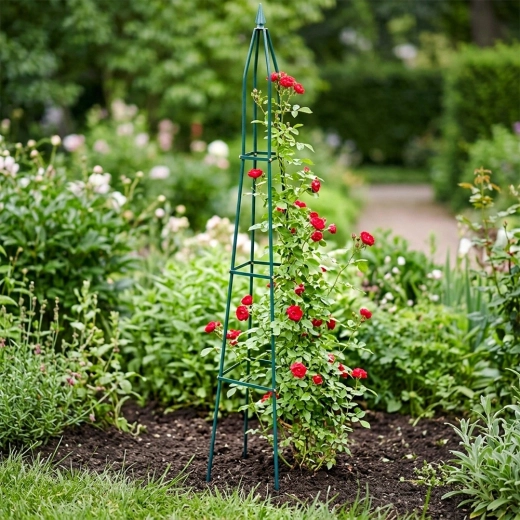 Sturdy support for climbing plants