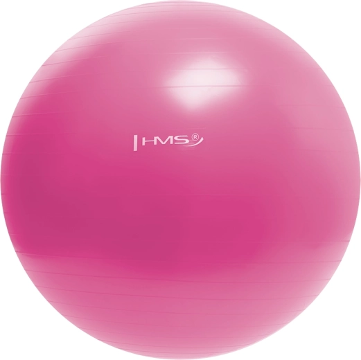 Gimnastikos kamuolys HMS 55 cm rožinis