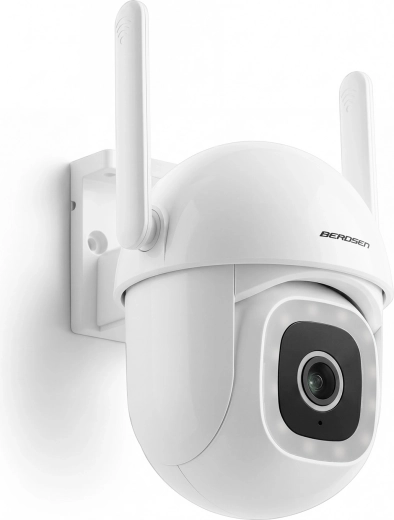 PTZ pan-tilt head and wide field of view for complete surveillance