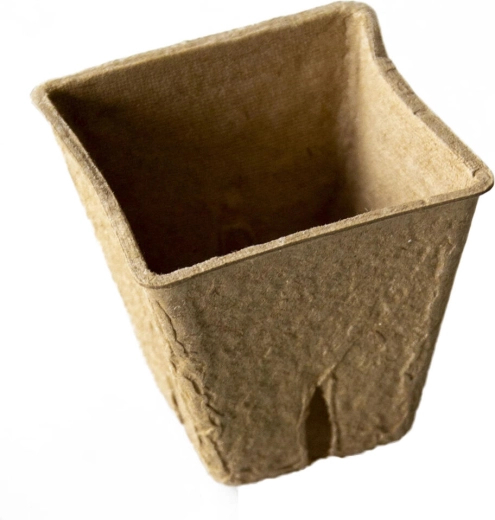 Disposable peat pot 6 × 6 × 5.6 cm (20 pcs)