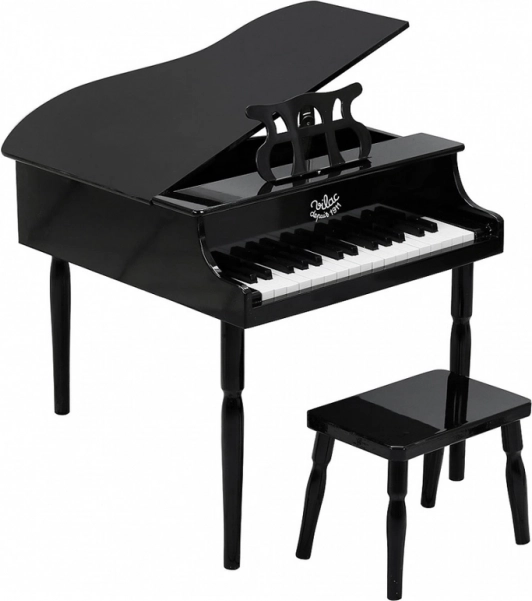 VILAC vaikiškas fortepijonas (pianinas), 30 klavišų, su kėdute ir natomis