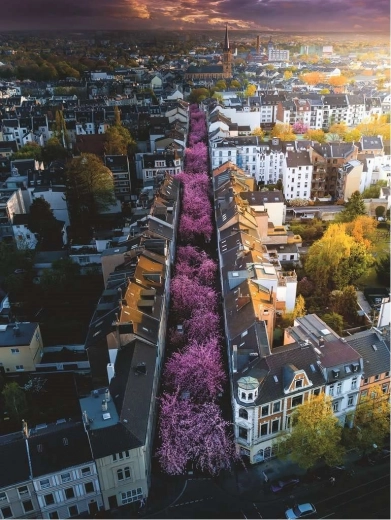 Ravensburger dėlionė 1500 detalių Bonnas, Vokietija