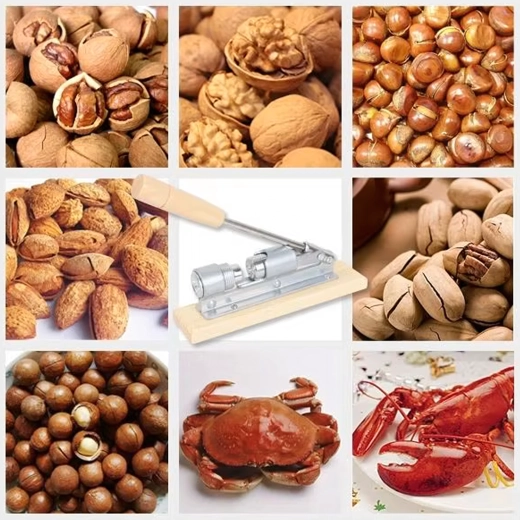 Universal for multiple nut types and seafood