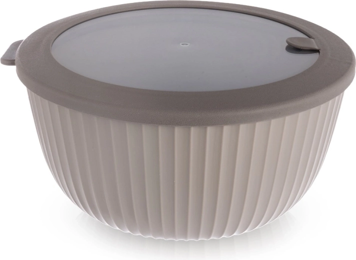 Kitchen bowl with lid 21 cm, 2.5 l
