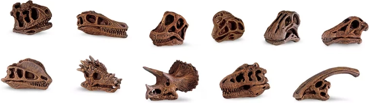 Safari Ltd. dinozaurų kaukolės – mini replikų rinkinys