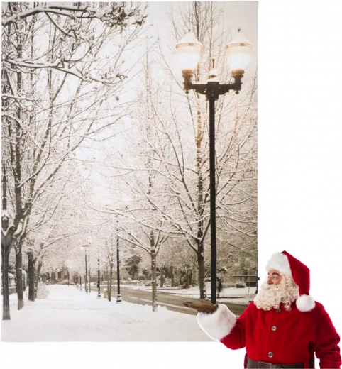 Christmas LED light picture 16 LEDs 40 × 30 cm