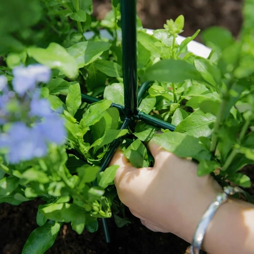 Stable support for healthy growth